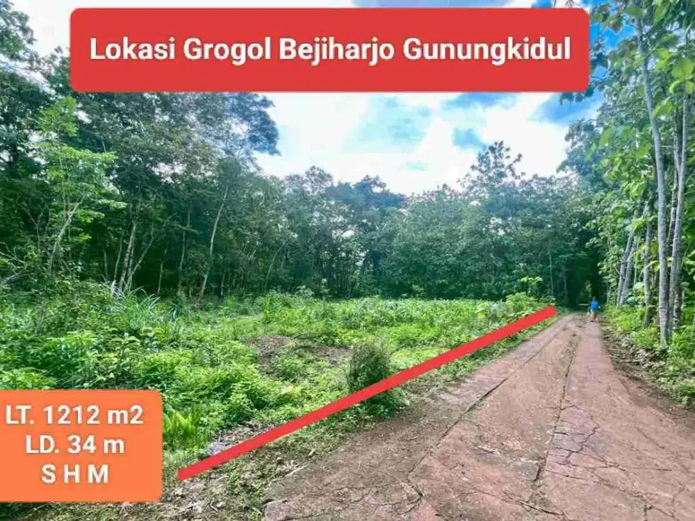 Jual tanah murah subur di Bejiharjo dekat kota Wonosari Gunung Kidul LT. 1212 m2 hanya 135 jt nego