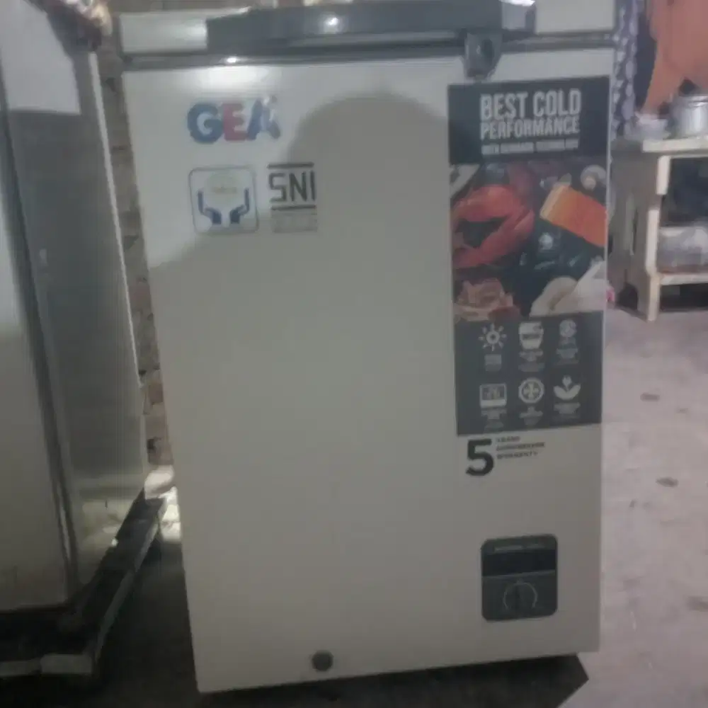 Feezer GEA 100ltr