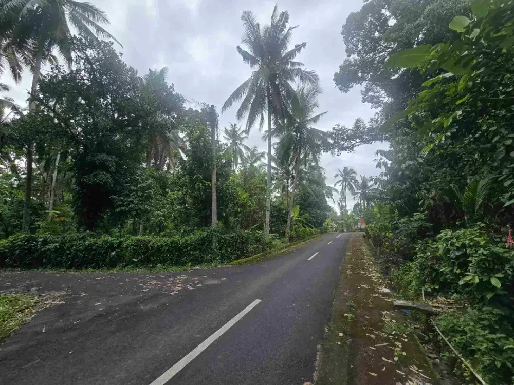 Dijual tanah dekat kota tabanan bali