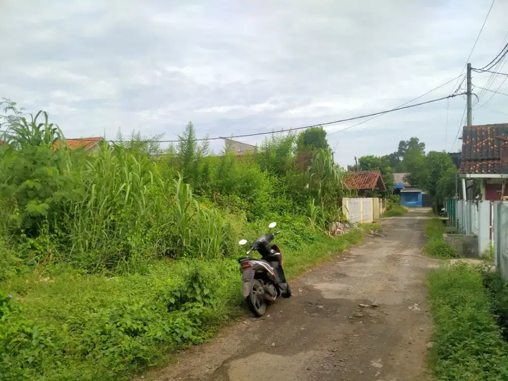 Dijual Tanah Untuk Kost kosan di Kampung Baru Unila