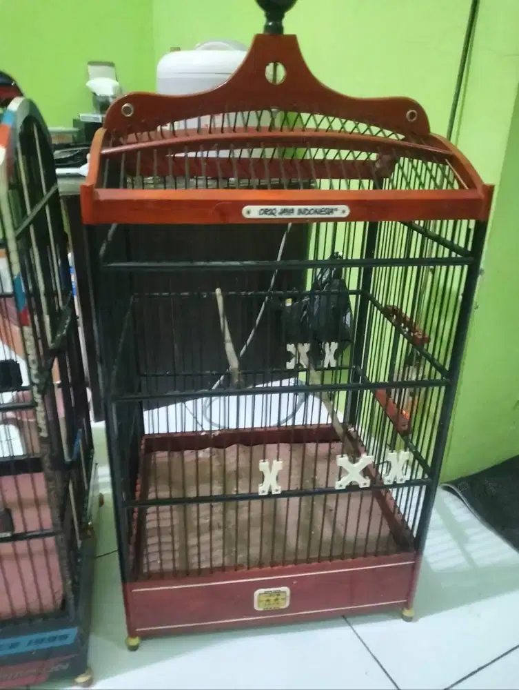 Kandang Burung Oriq 3