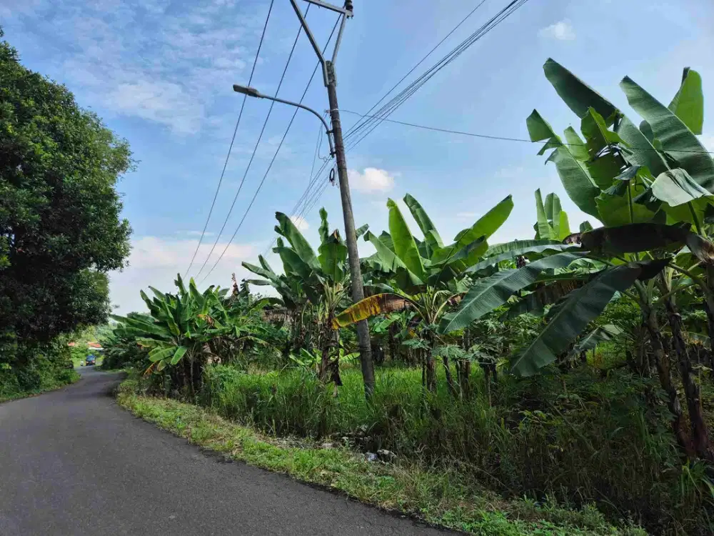 jual tanah buat perumahan subsidi lebar muka 400 m2 surat SHM kota serang