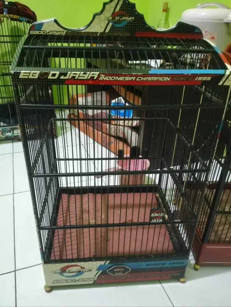 Kandang Burung Ebod Jaya 3