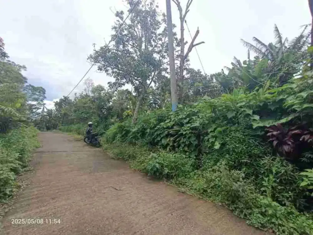 Land in Wanagiri Singaraja near Altavista Bali Mountain Villa
