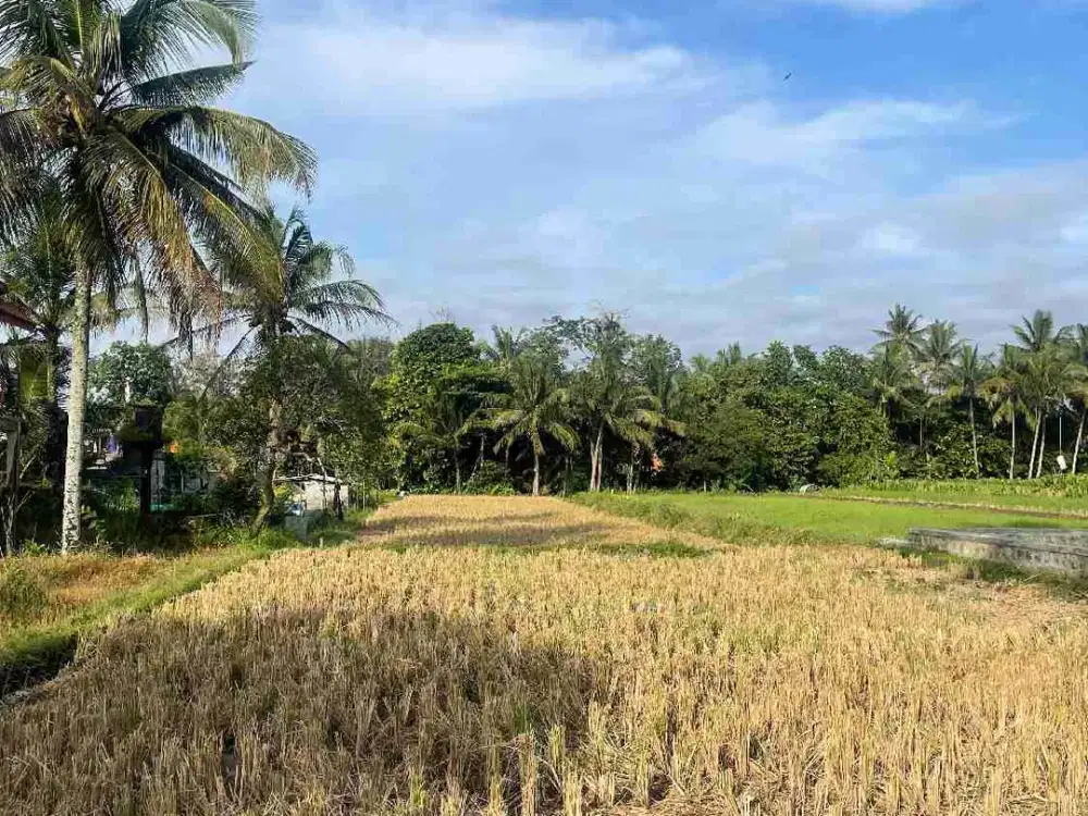 Dijual Tanah View Merapi Jl.Pakem sleman Yogyakarta