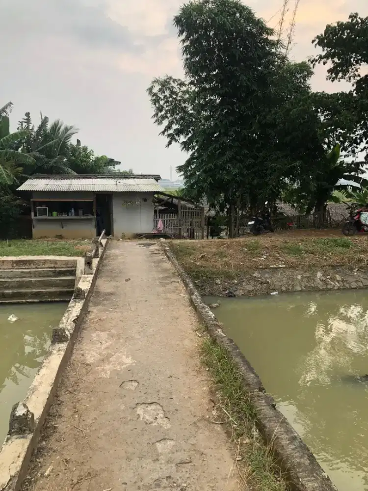 Disewakan usaha pemancingan