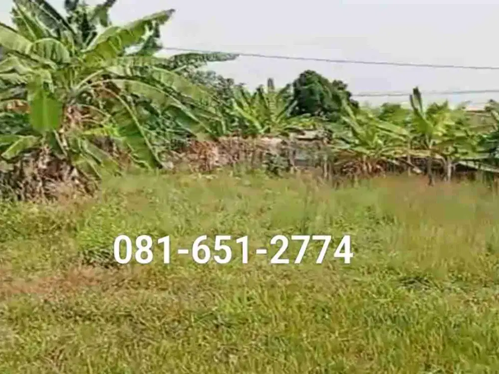 Tanah di Sedati Juanda Sidoarjo.