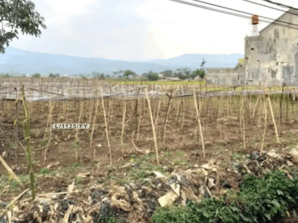 Tanah Luas Bisa Untuk Usaha Lokasi Strategis Di Soreang Bandung