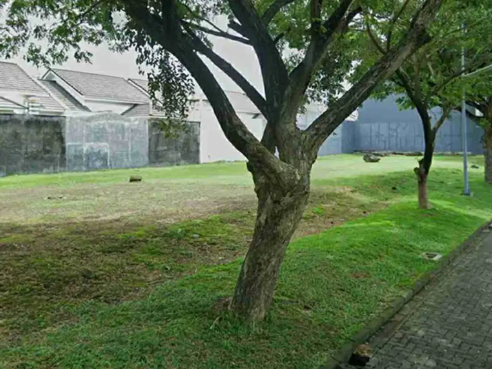 Dijual Murah Tanah Boulevard Premium Siap Bangun Di Perumahan Graha Padma, Semarang