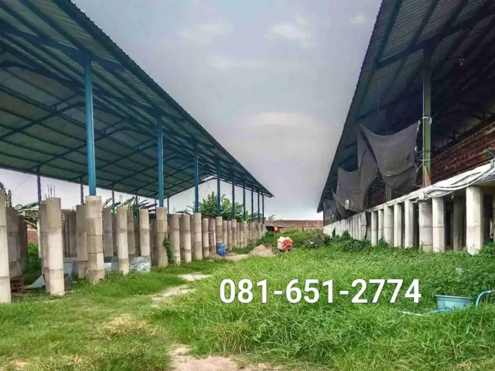 Kandang Ayam di Mojokerto