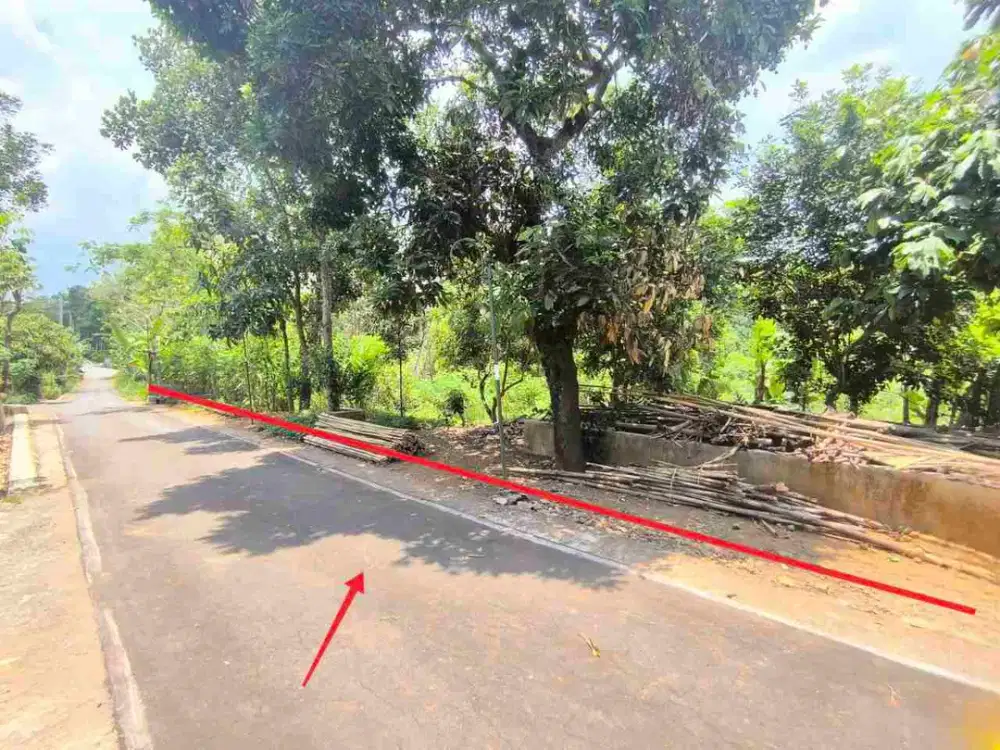 Tanah Pekarangan Luas 4.710m² Asri di Mojogedang