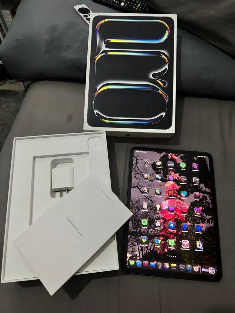 iPad Pro M4 256GB Black Wifi Only