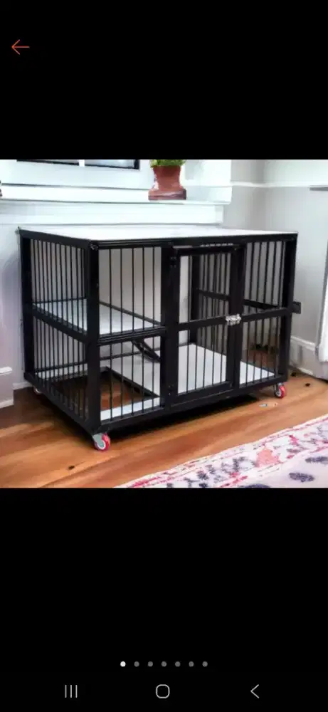 Kandang kucing masih bagus