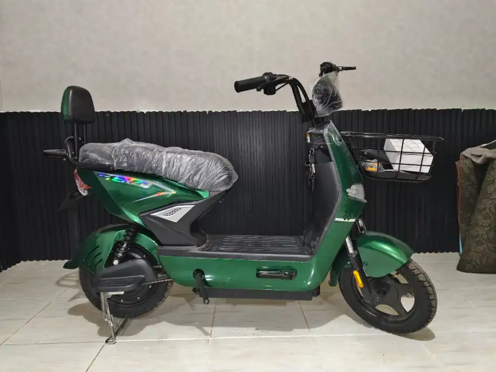 Terzo my way sepeda listrik