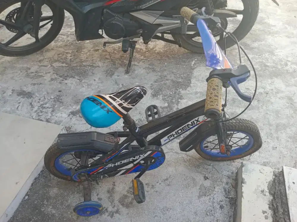 Sepeda anak cowok bekas.