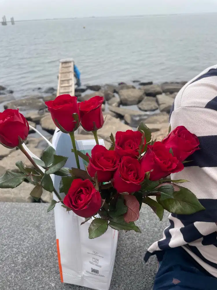 Jasa bersih2apartement/rumah