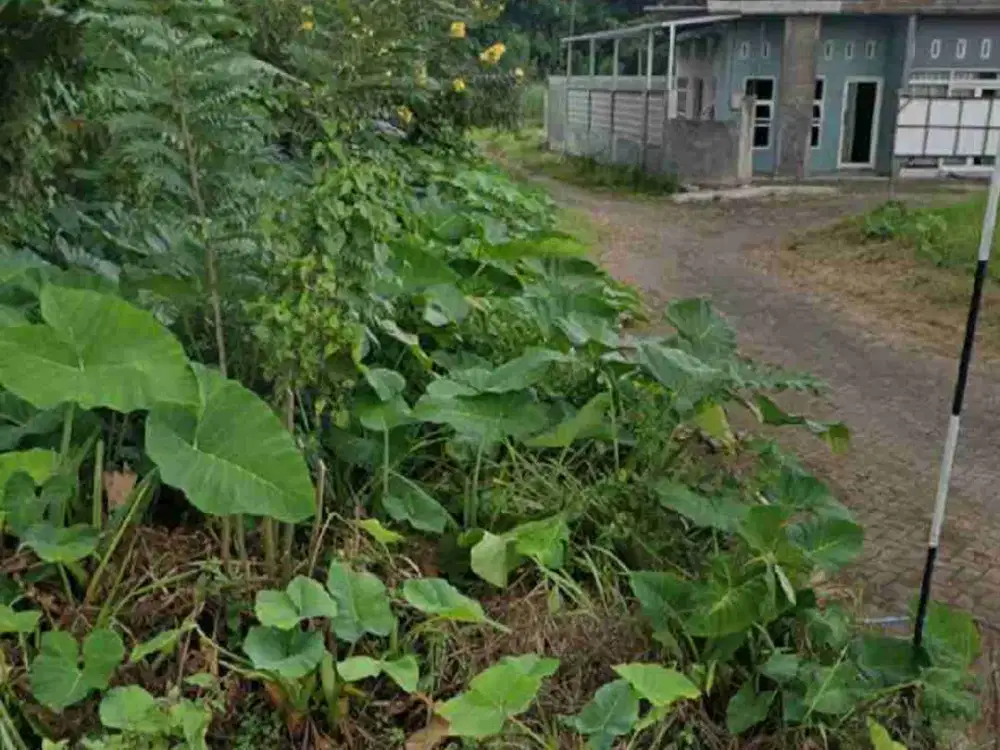 Tanah SHM 6x19.20 Singosari