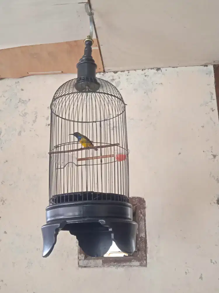 KANDANG LOVEBIRD KECIL