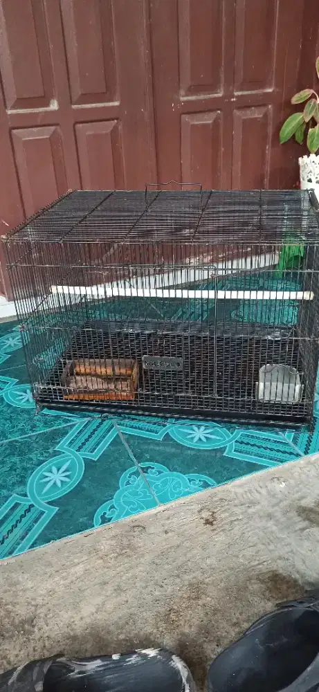 sangkar besi kotak