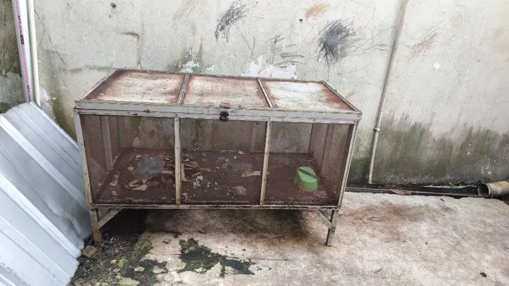 Kandang Jangkrik Kawat Besar