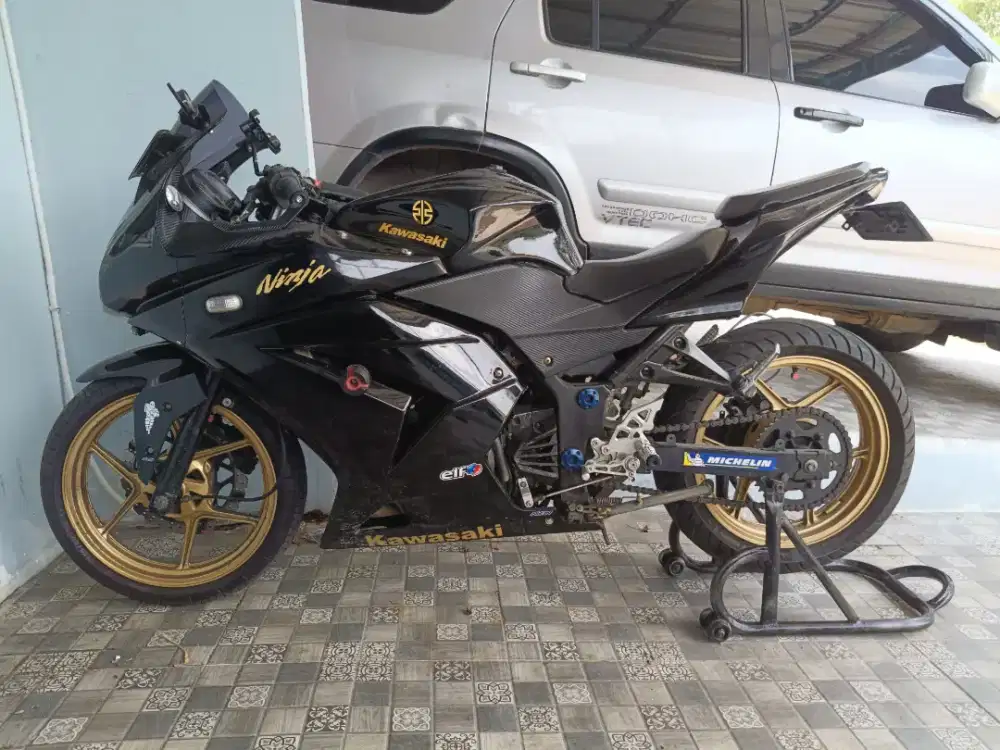 Kawasaki Ninja 250R 2009