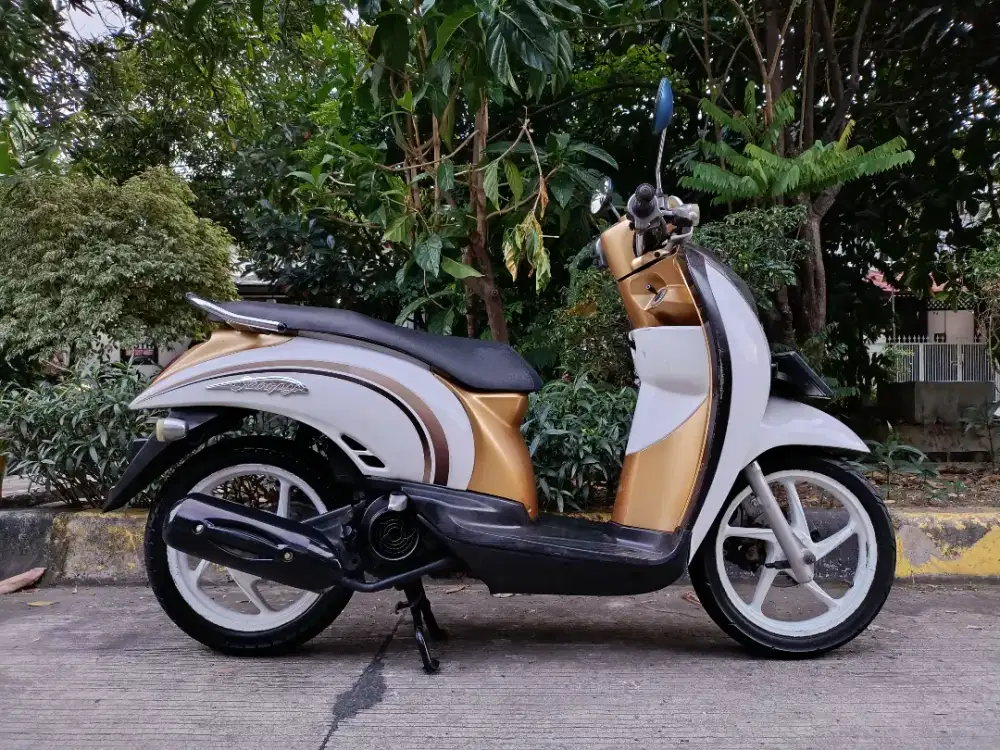 Honda Scoopy Stylish Karbu 2010