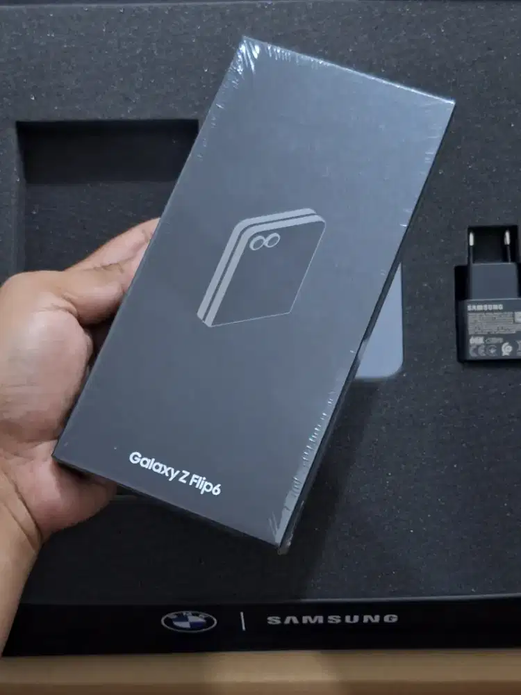 Samsung Galaxy Z Flip 6 12/256gb SEIN ( New Segel )