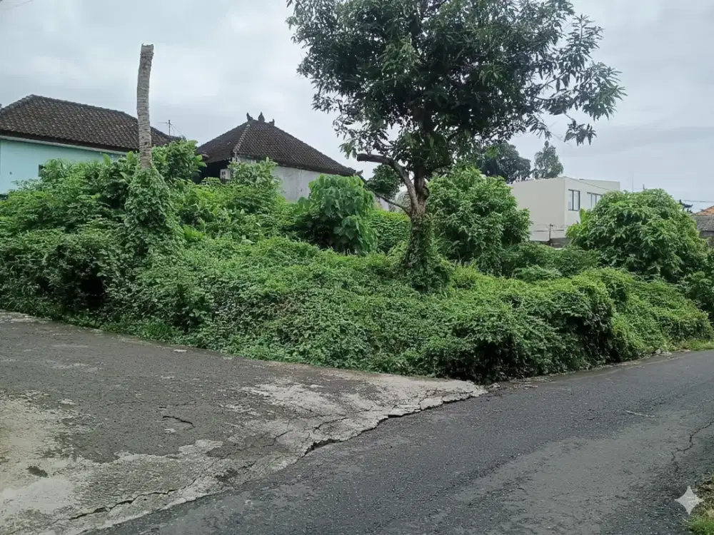 Land For Sale in Prime Location - Canggu, Tumbak Bayuh