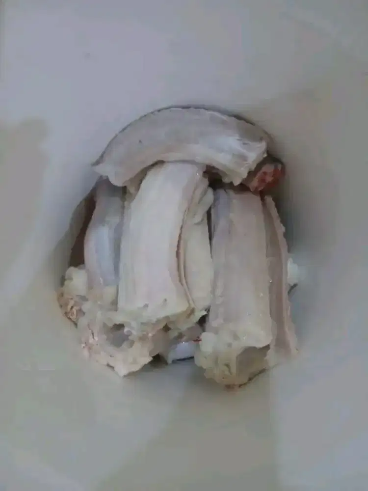 Obat kulit daging sanca