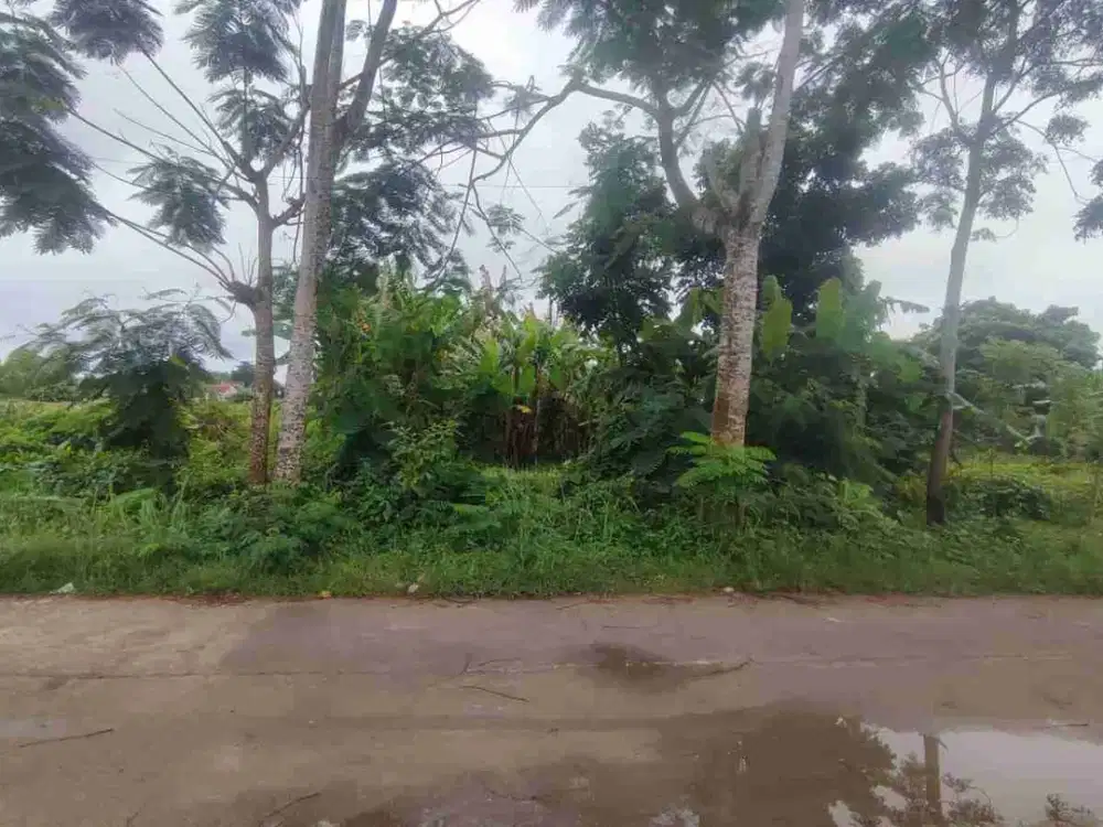 Dijual tanah murah dalam RR dekat jl Jambon dan jl Kabupaten..