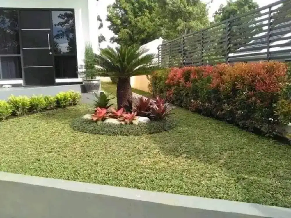 Jasa tukang taman cianjur