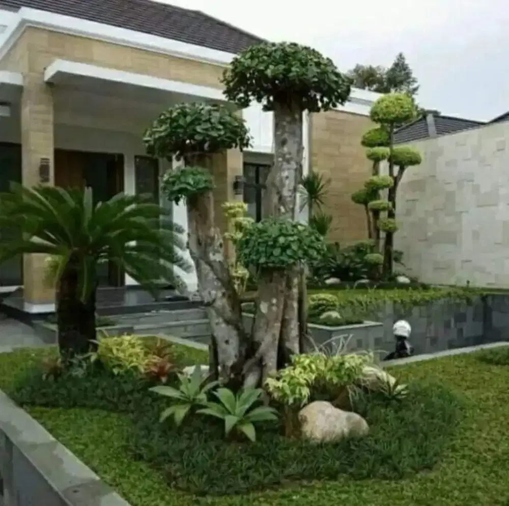 Jasa tukang taman murah // tukang taman bogor