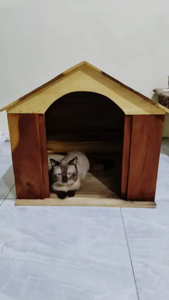 Kandang anjing atau kucing