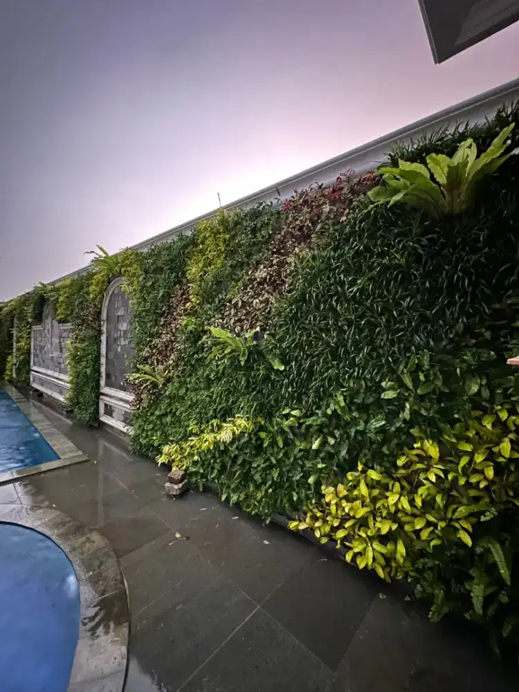 Menerima pembuatan taman vertical garden