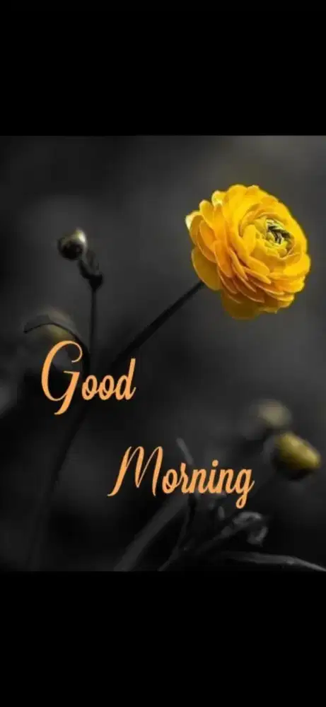 Saya mencari lowongan pekerjaan