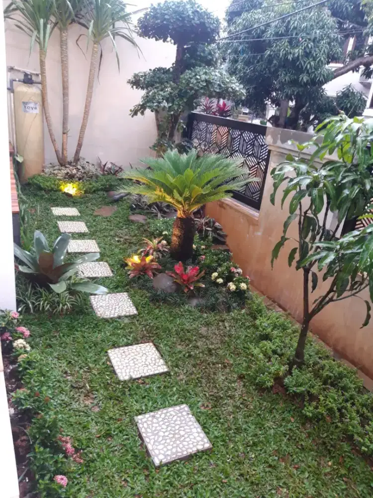 Jasa taman//tukang taman//perawatan taman//tukang rumput