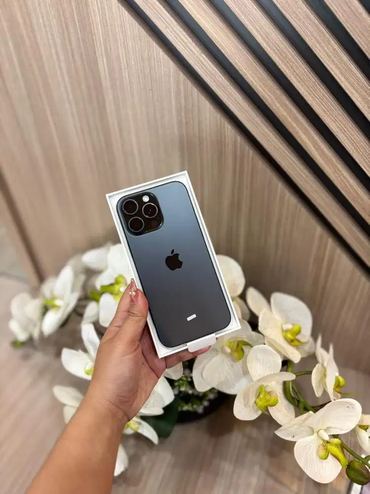 16 PROMAX 256 GB BLACK TITANIUM