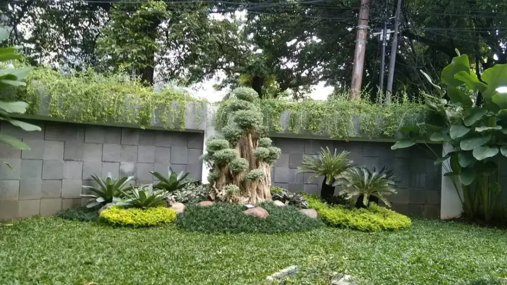 Jasa tukang taman//tukang rumput
