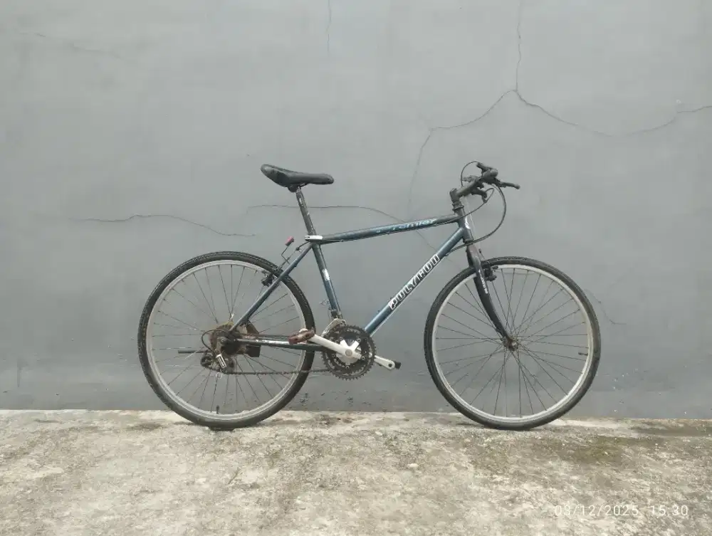 Sepeda Polygon Premier