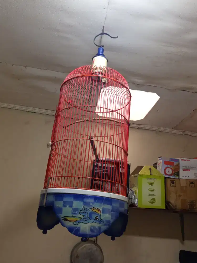 Kandang bekas Kenari/LB