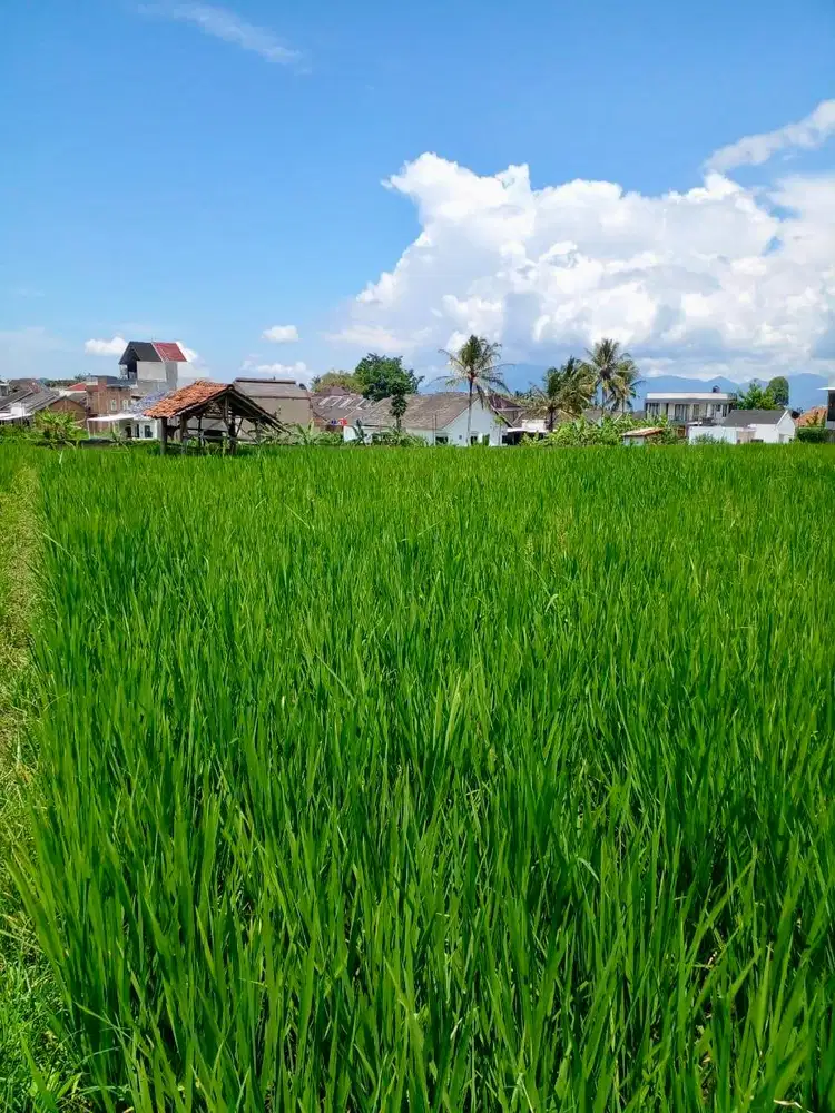 Dijual cepat Tanah Dekat Universitas Garut - Jl. Raya Samarang Garut