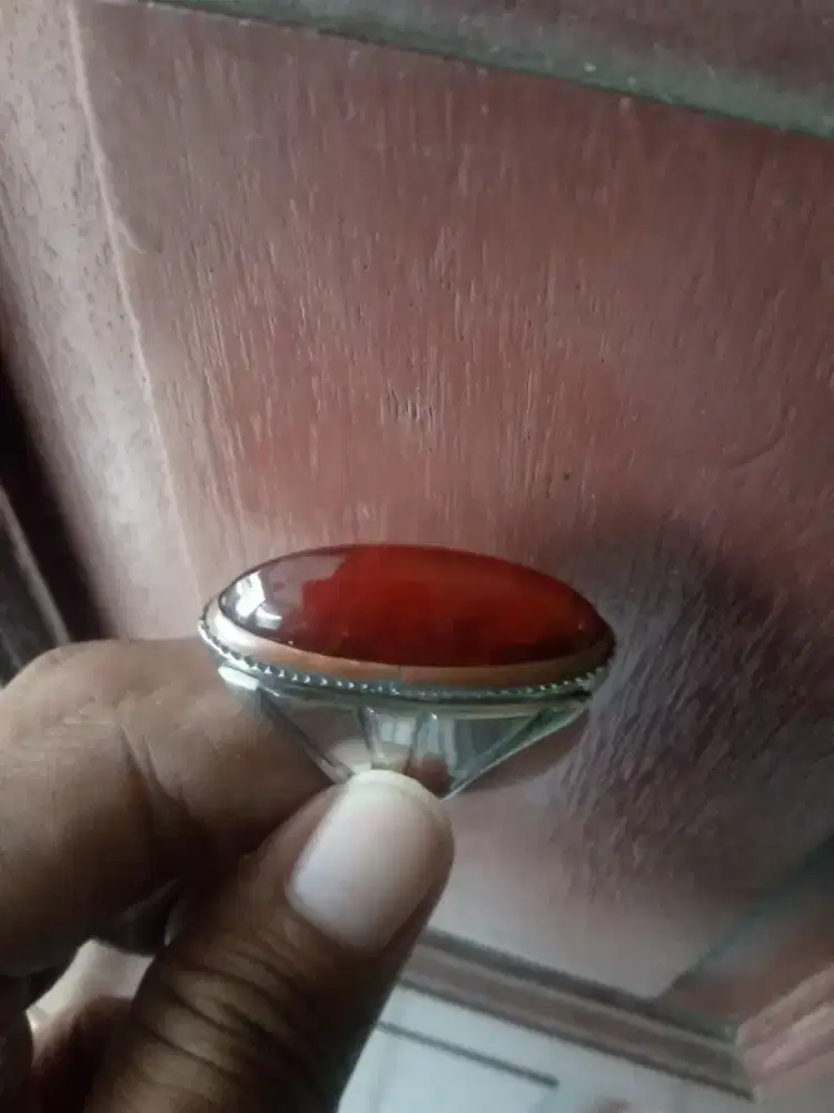 Pandan merah Jamblang