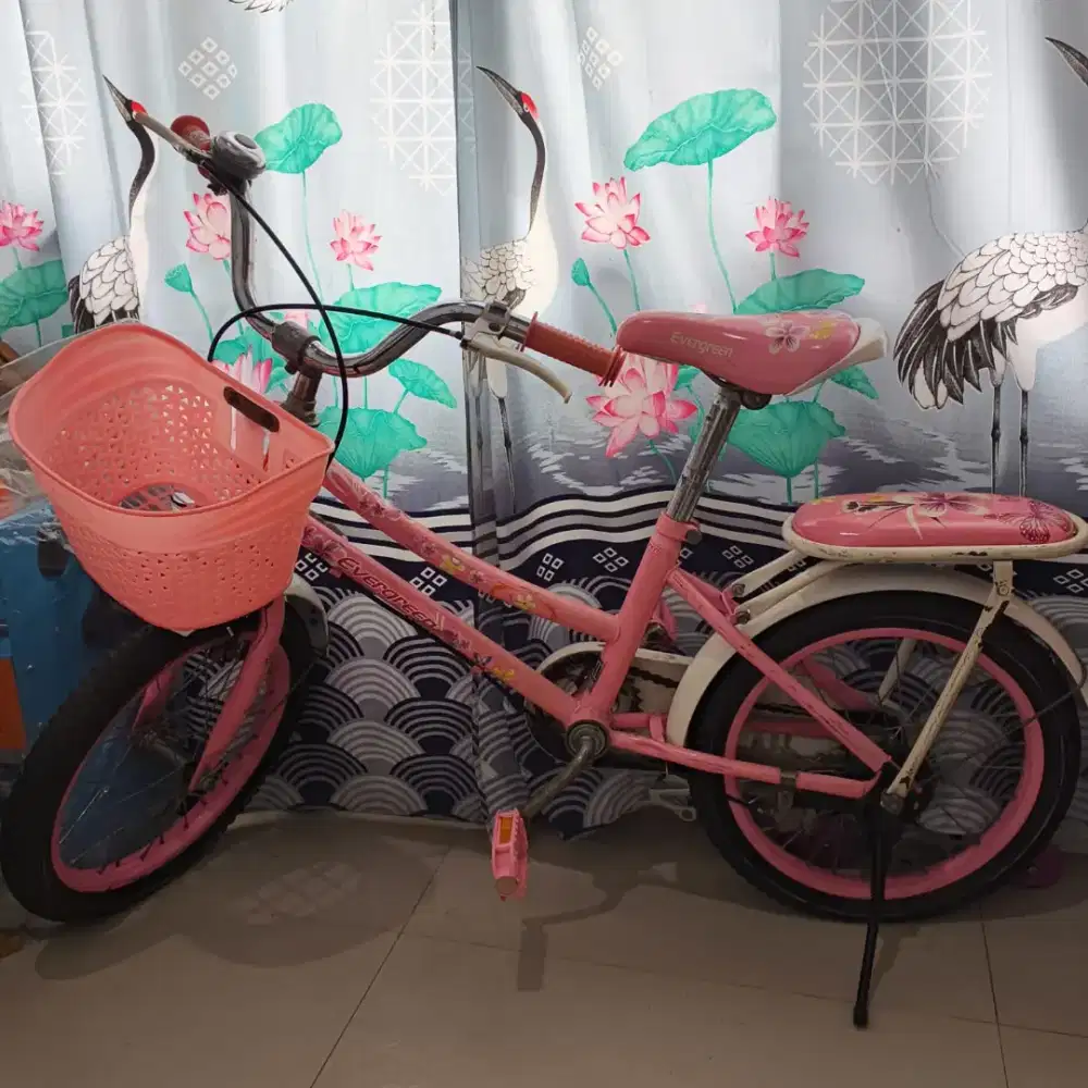 Jual sepeda evergreen