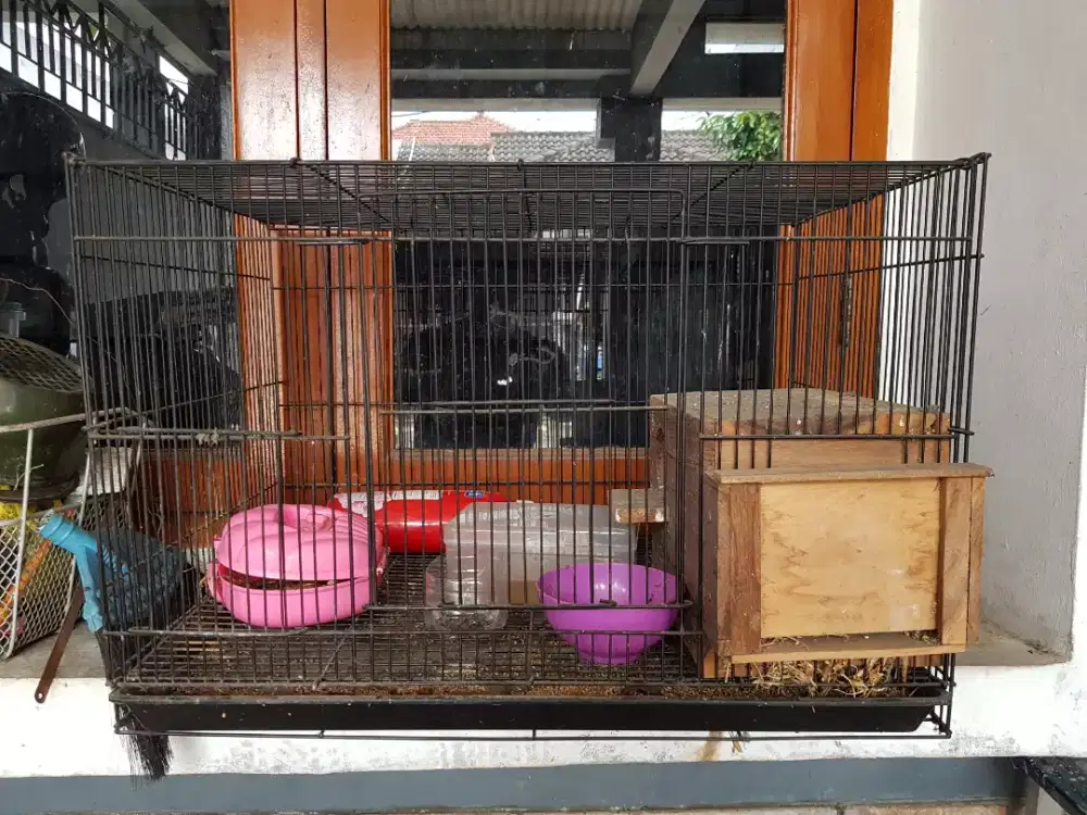 Kandang Kotak 60x40x40cm