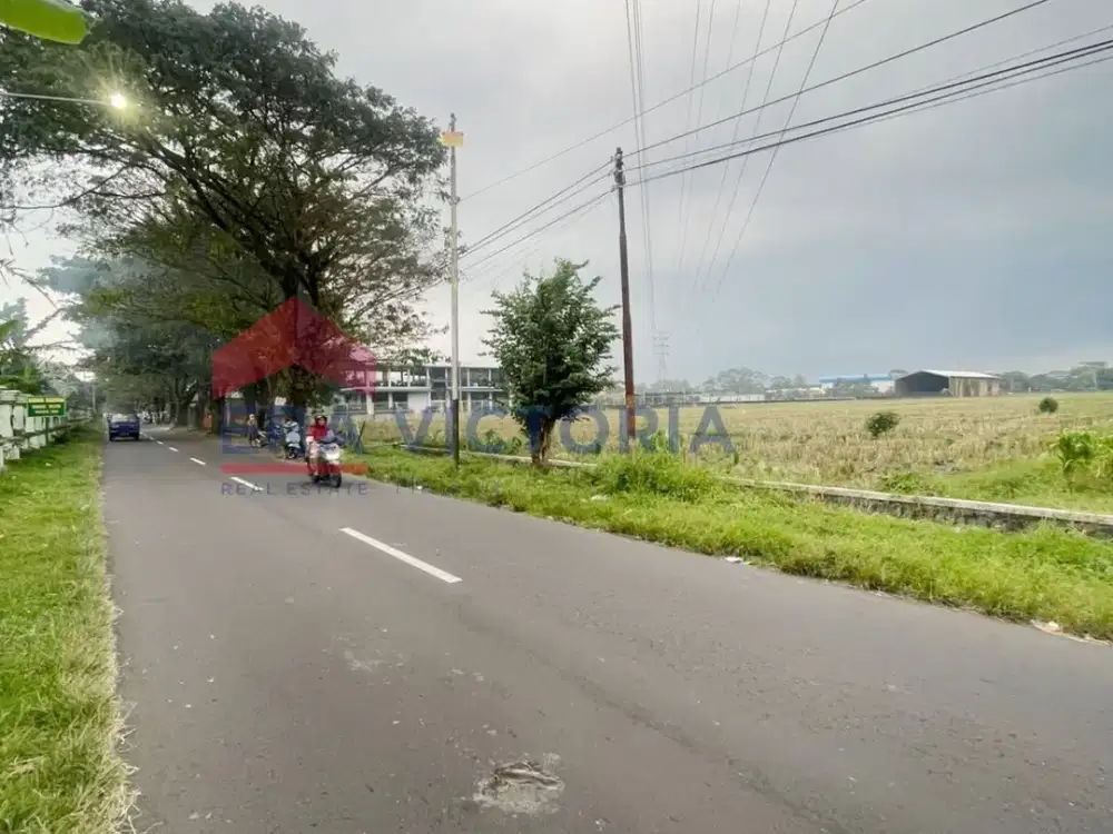 Tanah Sawah Luas Dekat Pusat Perkantoran & RSUD Kanjuruhan Cocok Investasi