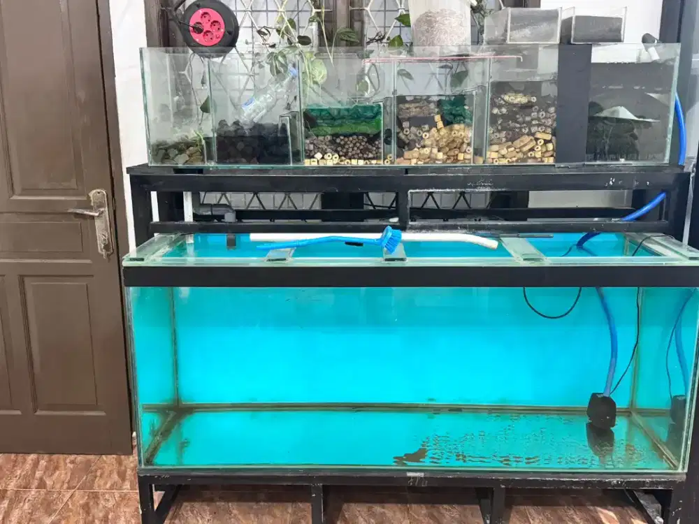 Aquarium Tinggal Pakai ukuran 60 x 69 x 150 12 mili