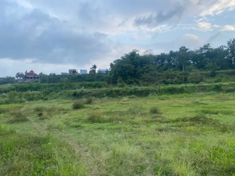 Promo Akhir Tahun Dijual Tanah SHM Dekat Samsat Kota Malang 0 Jalan raya