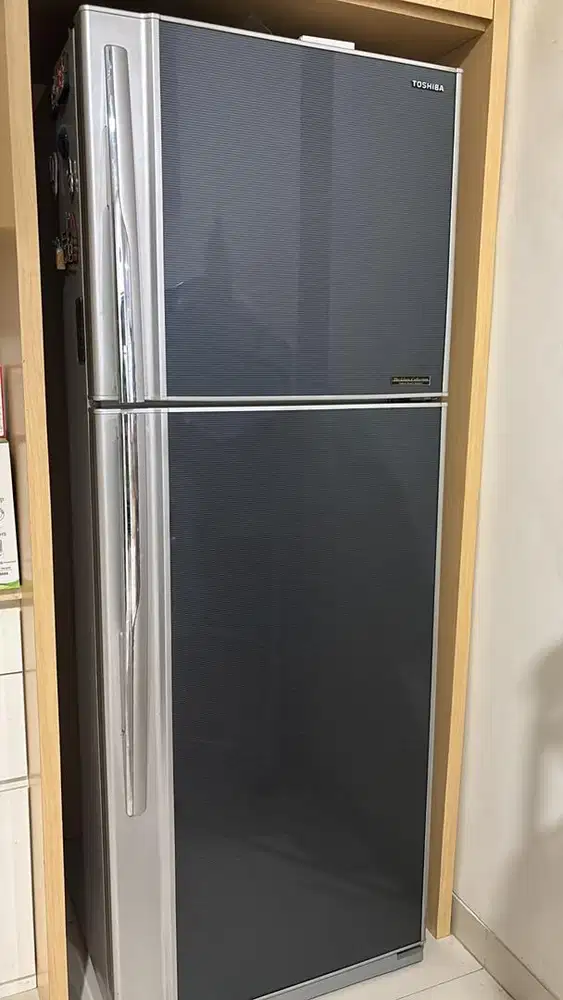 Kulkas 2 Pintu - Toshiba