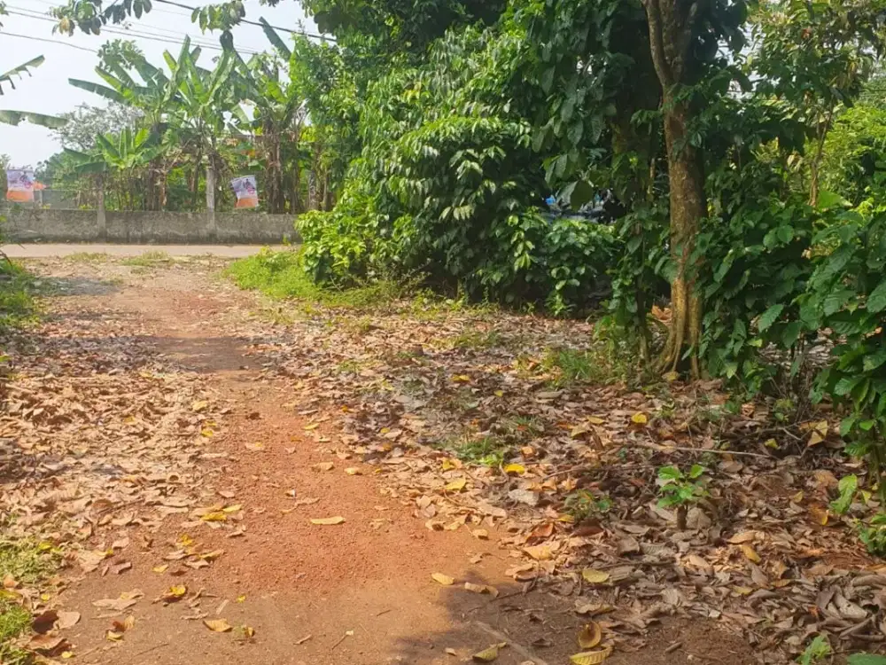 Tanah Cisauk SHM 100Jtan - Pinggir Jalan Dekat Stasiun/Tol Baru
