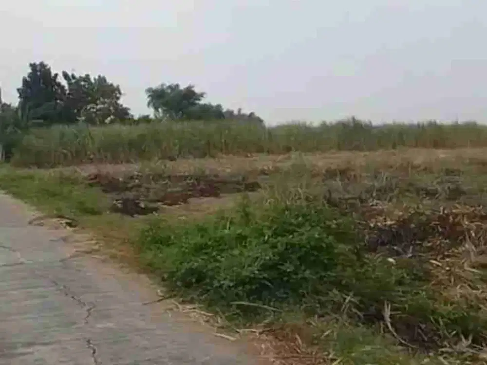 Dijual Tanah Perumahan Gedeg Mojokerto dekat Rsud Rabasuni